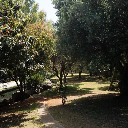 Silvanae Pool Aci Castello